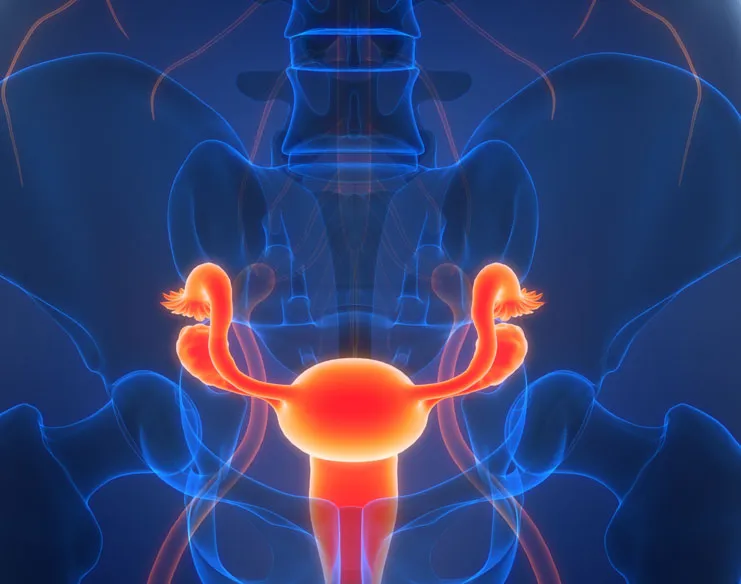 Understanding the Importance of Gynaecological Health